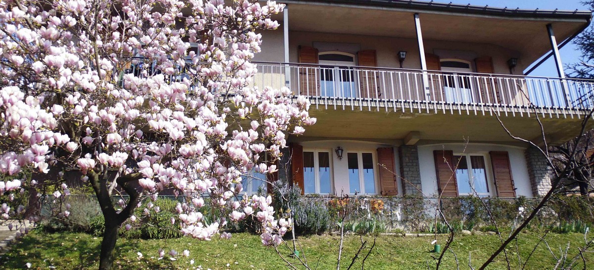 Il lato sud della casa del B&B con il giardino e la magnolia in fiore